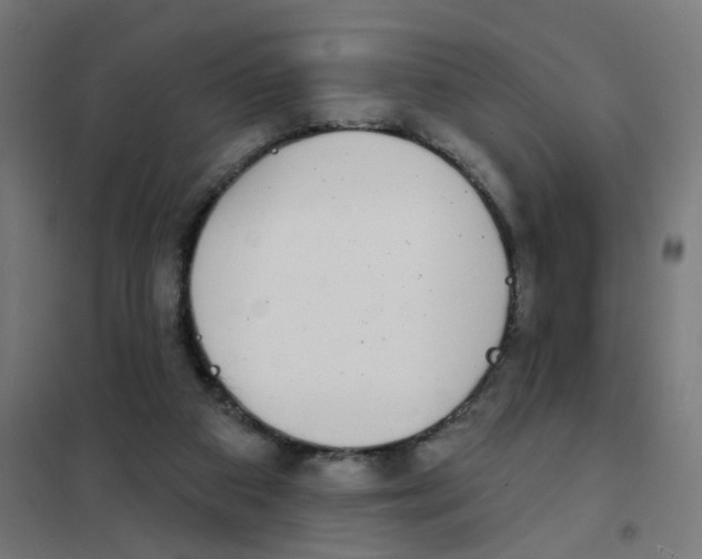 X0000101700113200808071208