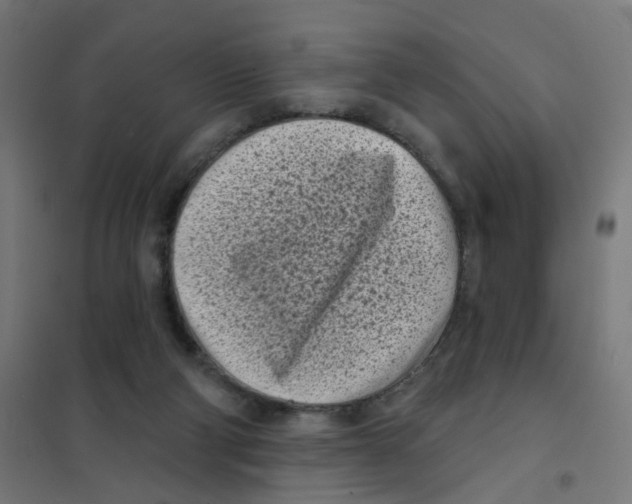 X0000101700114200808071208