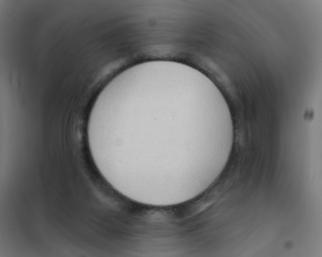 X0000101700115200808071208