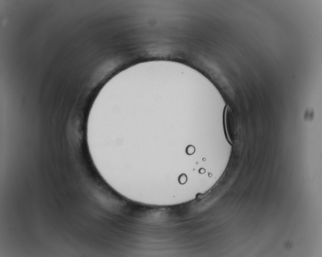 X0000101700116200808071208