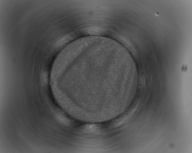 X0000101700117200808071208