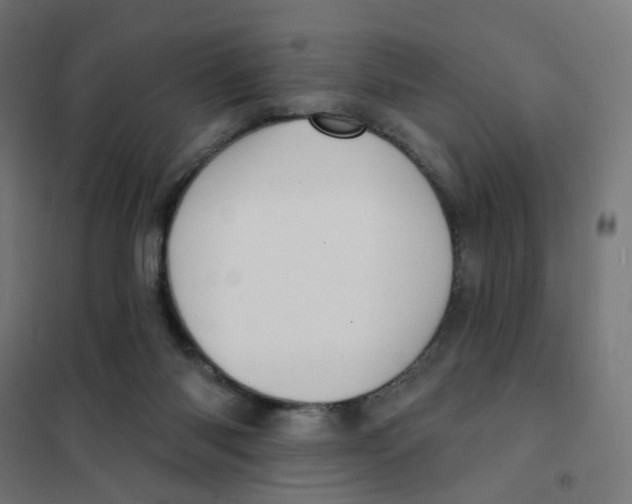 X0000101700118200808071208