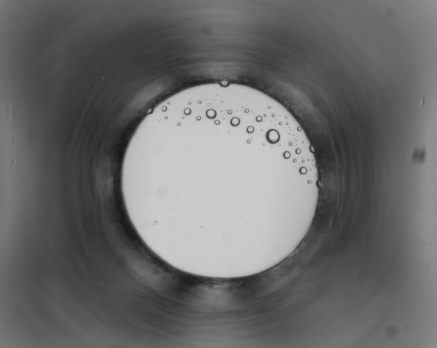 X0000101700120200808071208