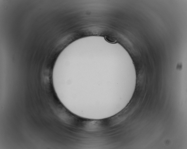 X0000101700122200808071208