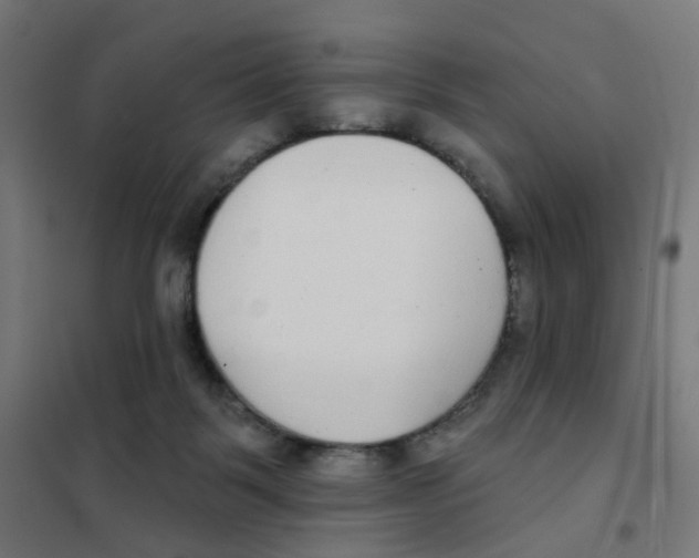 X0000101700123200808071208