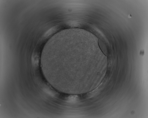X0000101700124200808071208