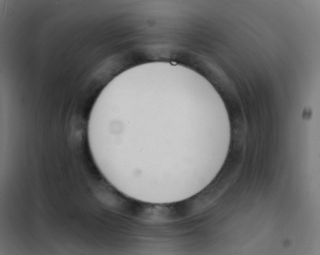 X0000101700125200808071208