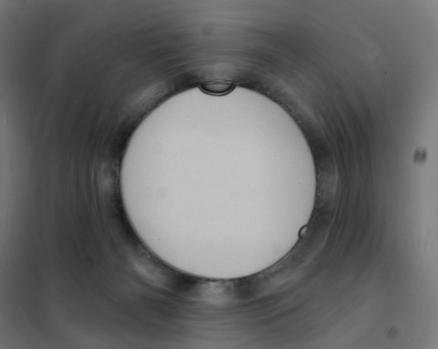 X0000101700126200808071208