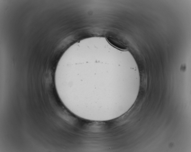 X0000101700128200808071208