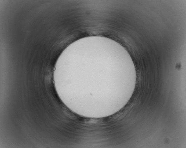 X0000101700129200808071208