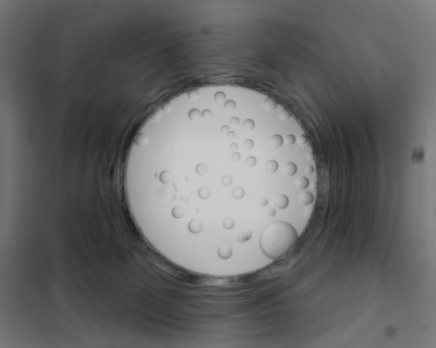 X0000101700131200808071208