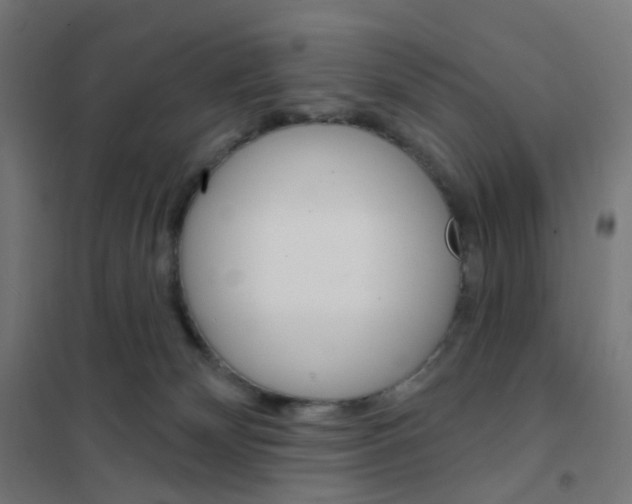 X0000101700132200808071208