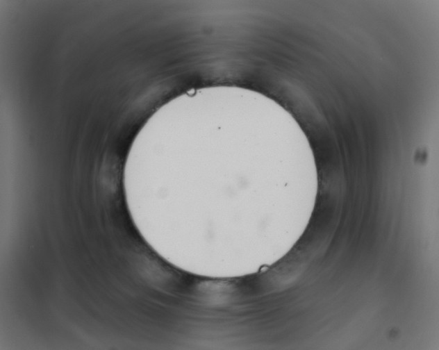 X0000101700133200808071208