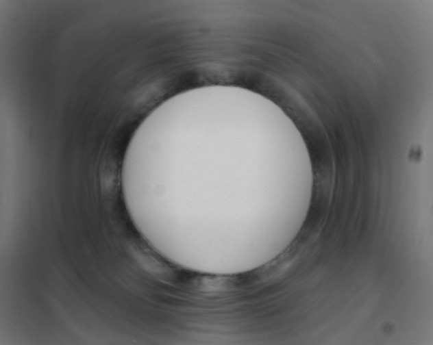 X0000101700134200808071208