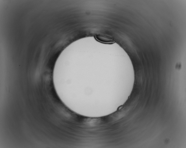 X0000101700135200808071208