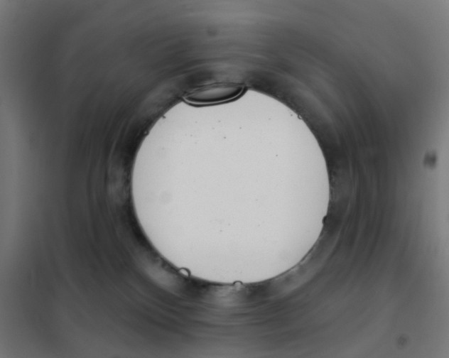 X0000101700136200808071208