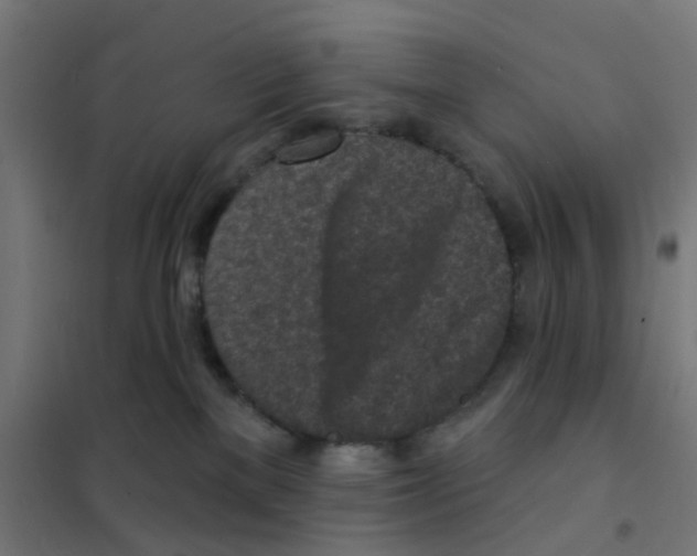 X0000101700137200808071208