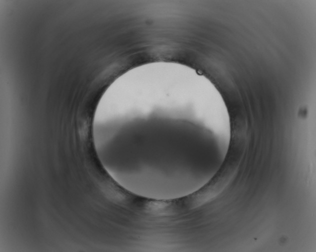 X0000101700139200808071208