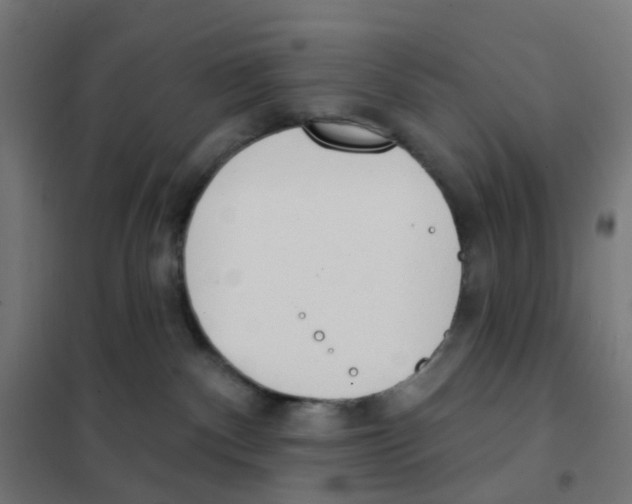 X0000101700140200808071208