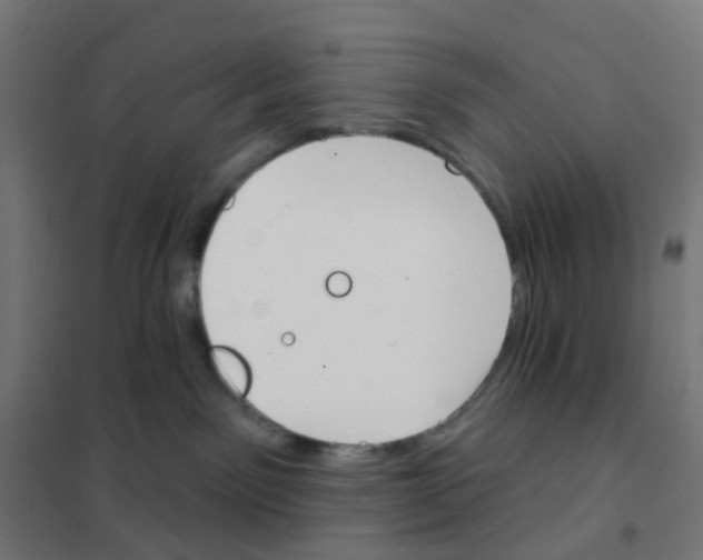 X0000101700141200808071208