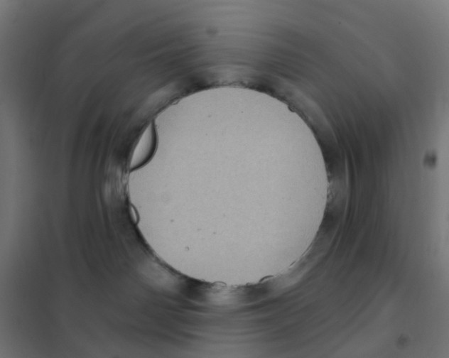 X0000101700142200808071208