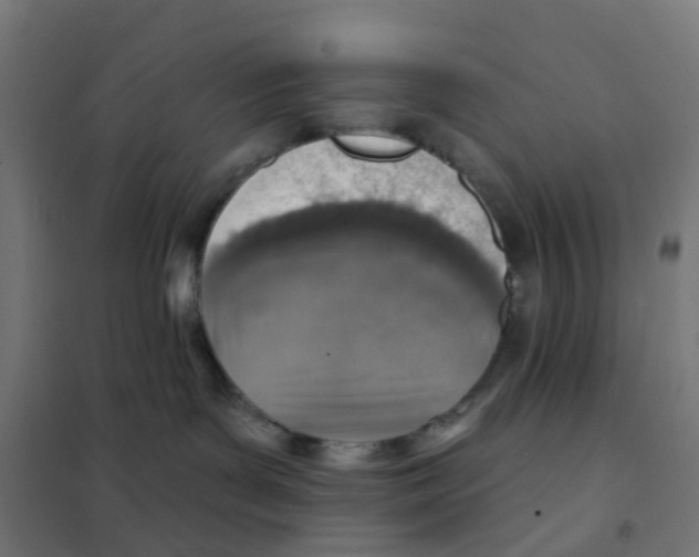 X0000101700143200808071208