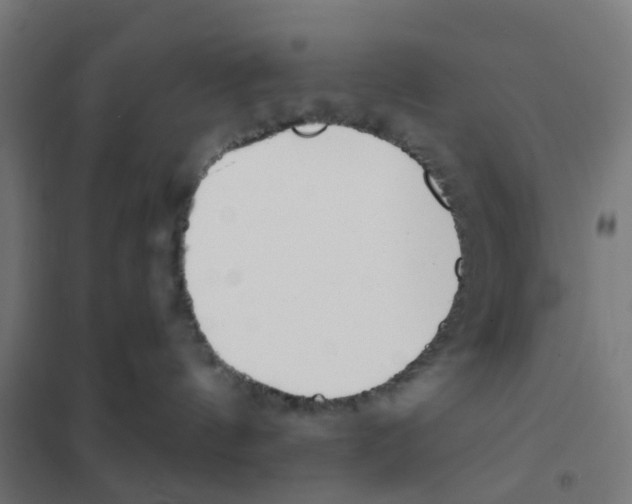 X0000101700144200808071208