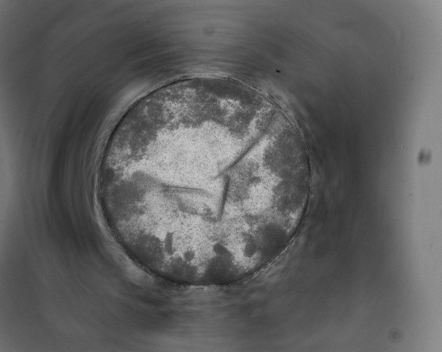 X0000101700145200808071207