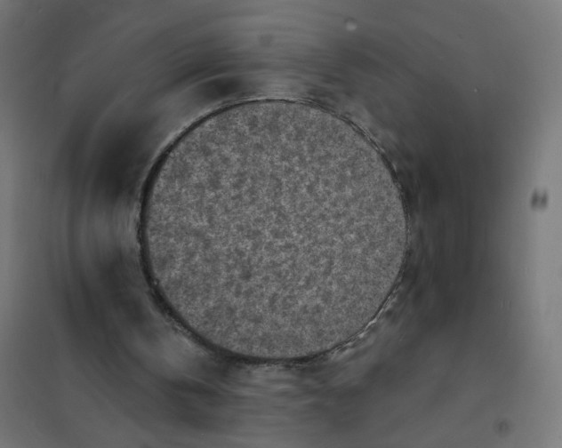 X0000101700146200808071207