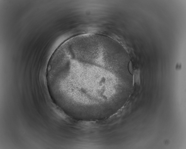 X0000101700147200808071207