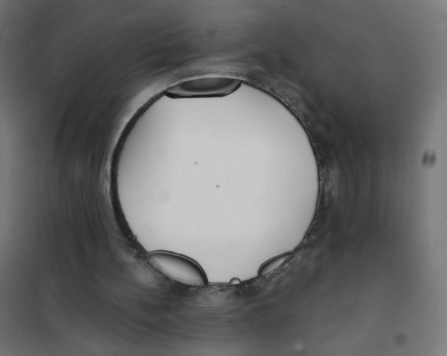 X0000101700148200808071207