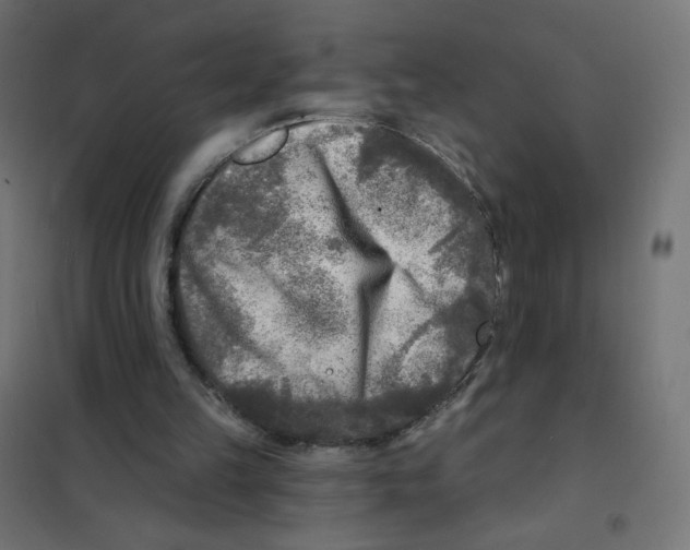 X0000101700149200808071207