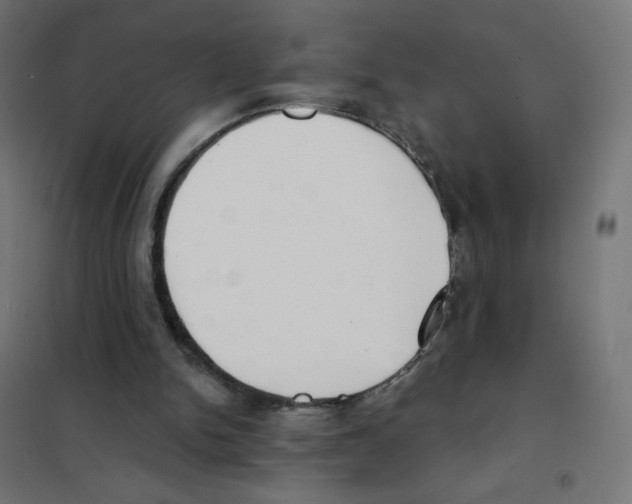 X0000101700150200808071207