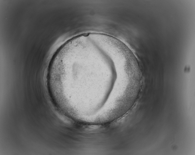 X0000101700151200808071207