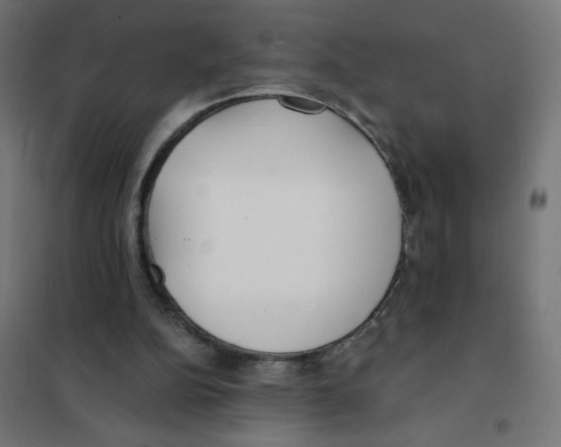 X0000101700152200808071207