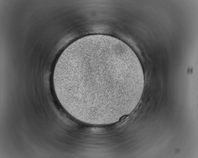 X0000101700154200808071207