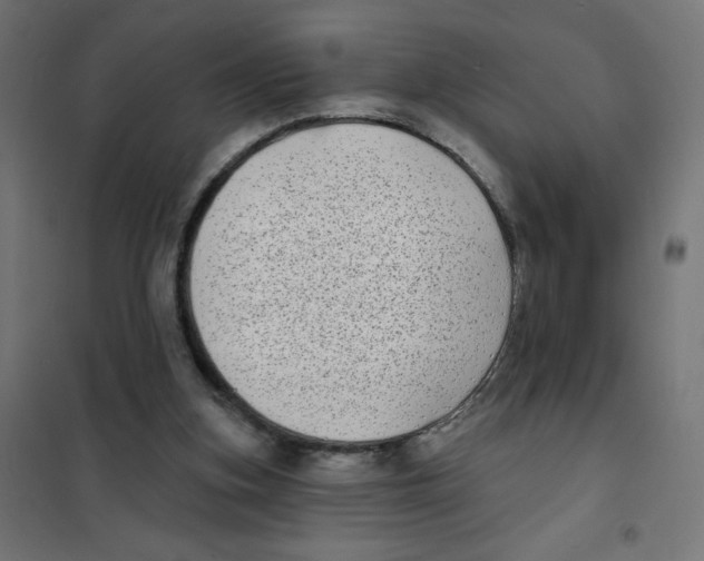 X0000101700155200808071207