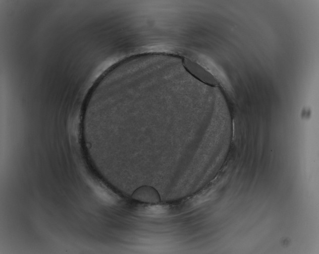 X0000101700156200808071207