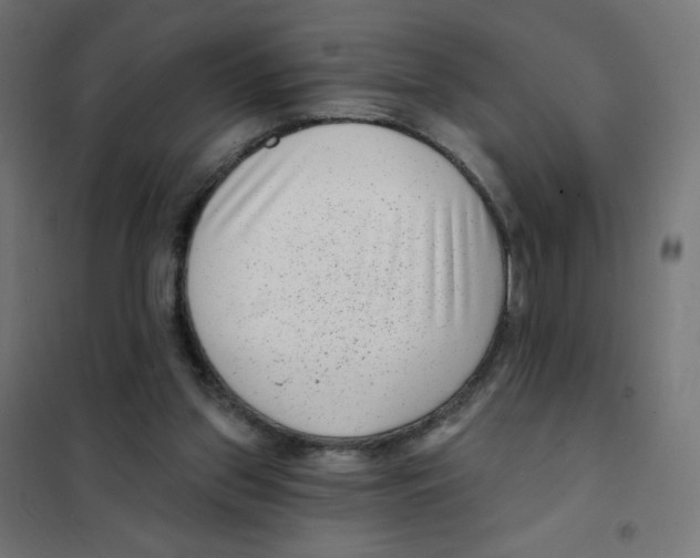 X0000101700157200808071207