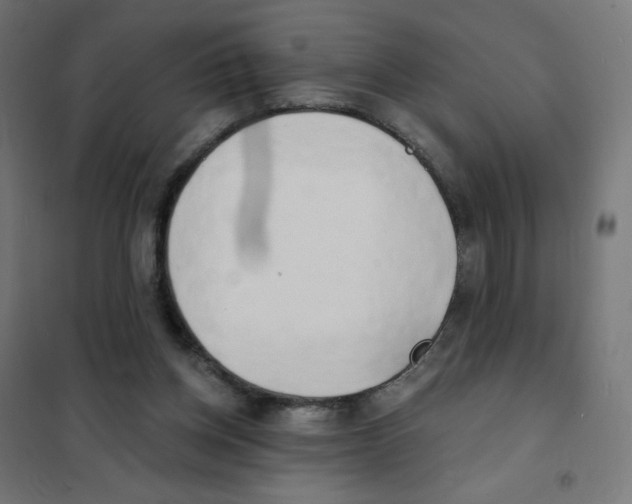 X0000101700158200808071207
