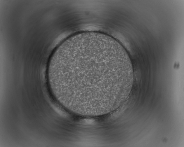 X0000101700159200808071207