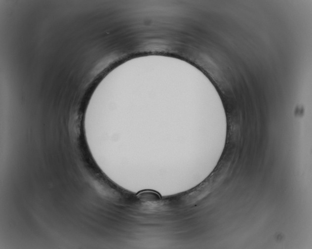 X0000101700160200808071207