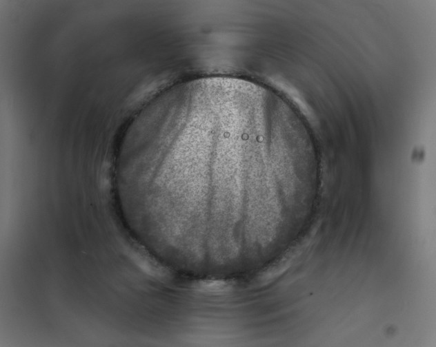 X0000101700161200808071207