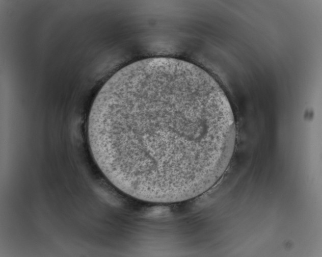 X0000101700162200808071207