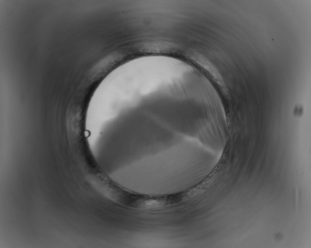 X0000101700163200808071207
