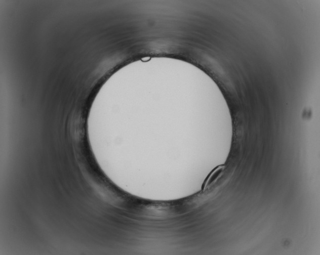 X0000101700164200808071207