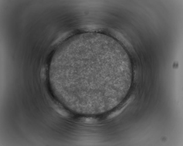 X0000101700165200808071207