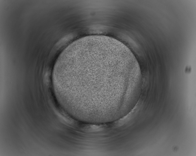 X0000101700166200808071207