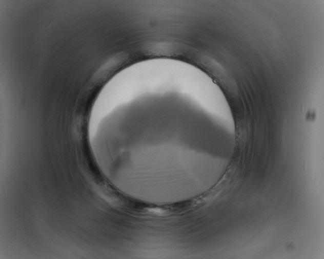 X0000101700167200808071207