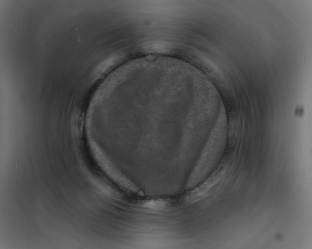 X0000101700168200808071207